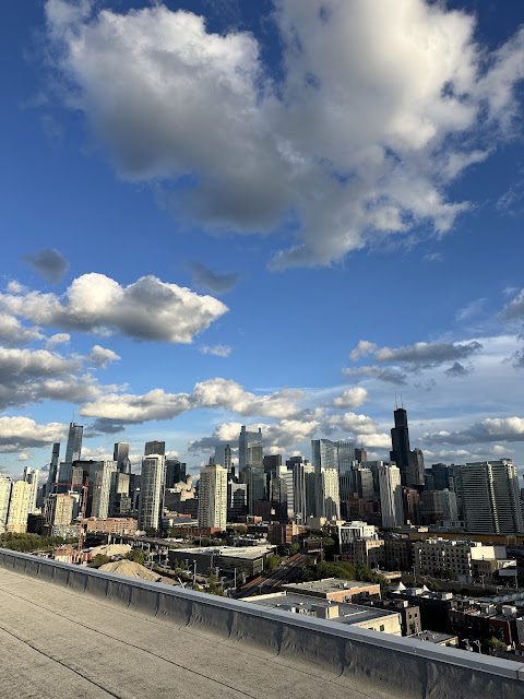 Chicago skyline view